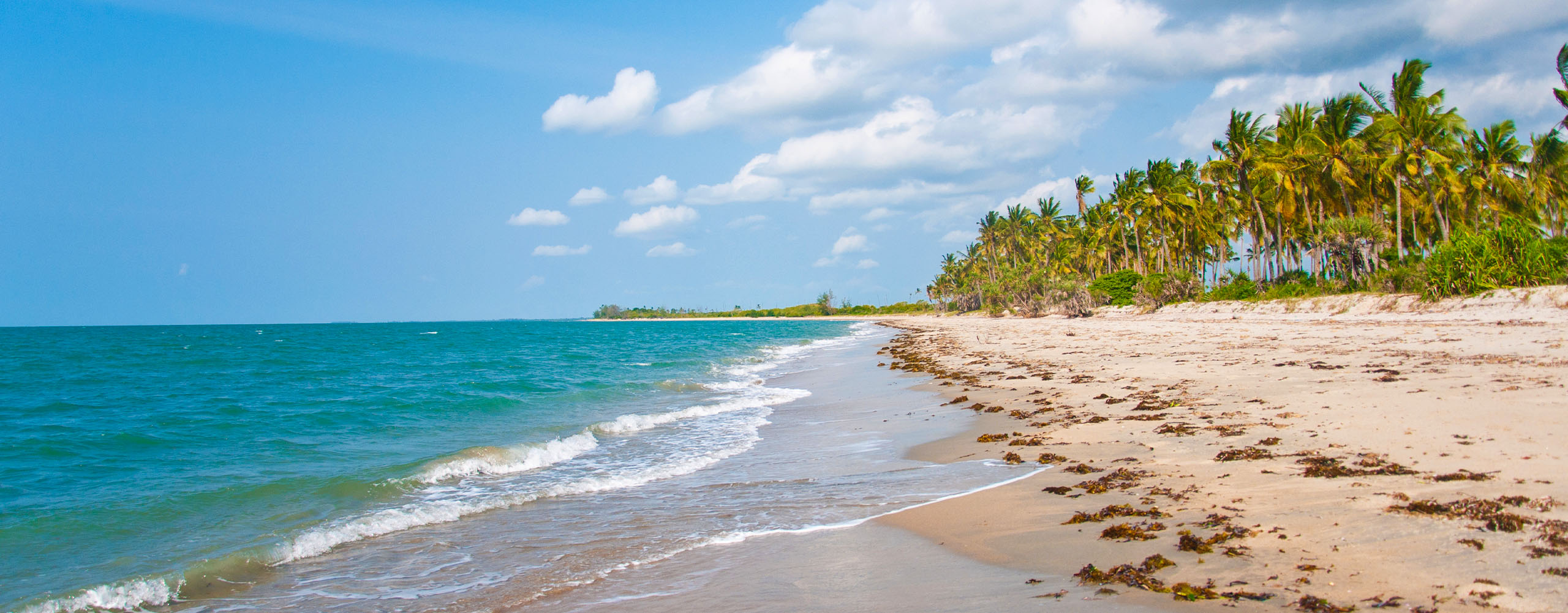 Saadani-National-Park-Tanzania