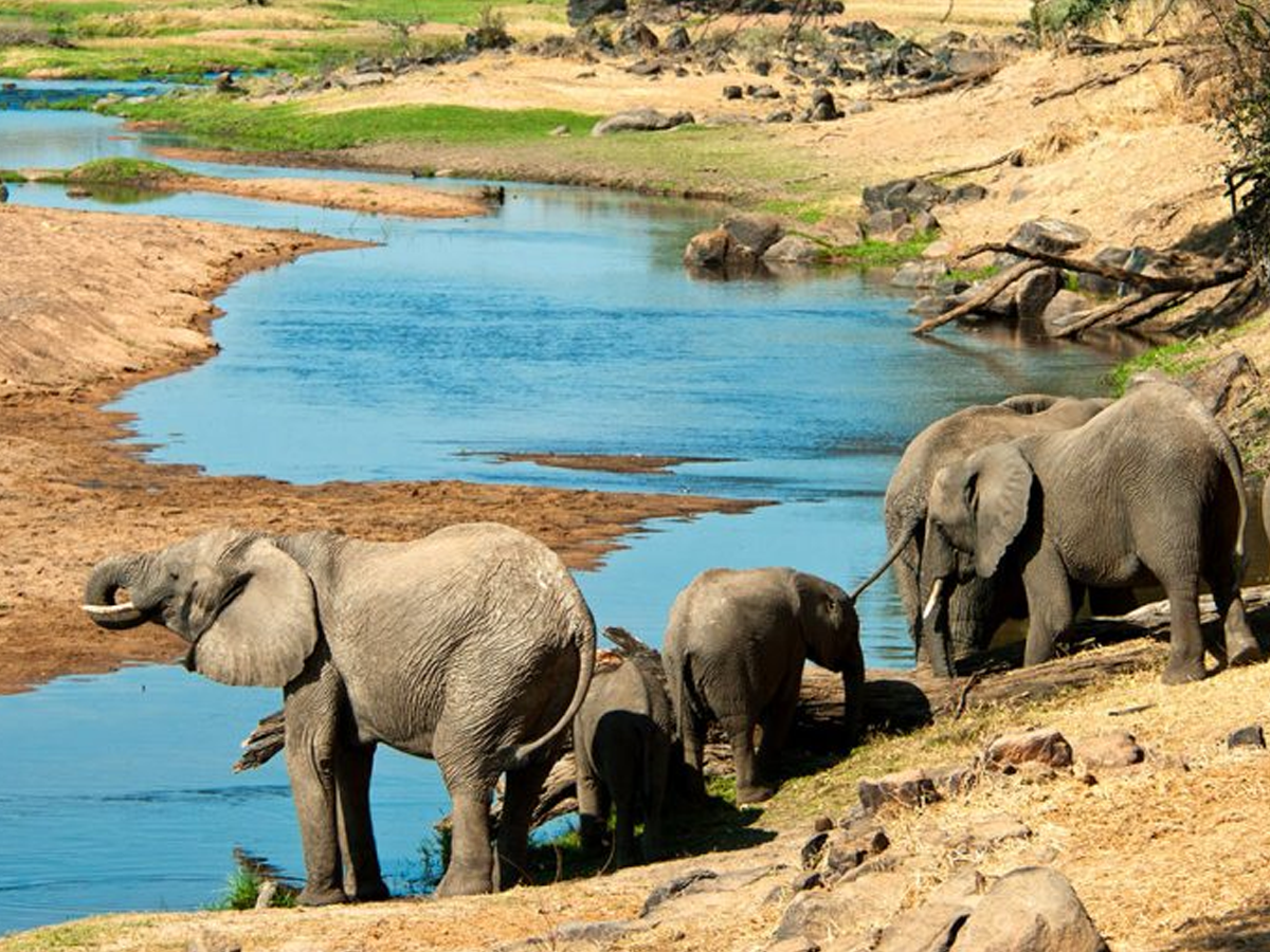 Saadani-National-Park_