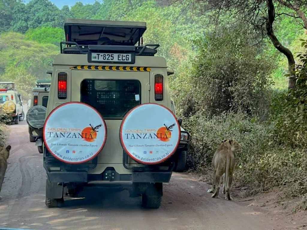 Expertos en safaris en Tanzania
