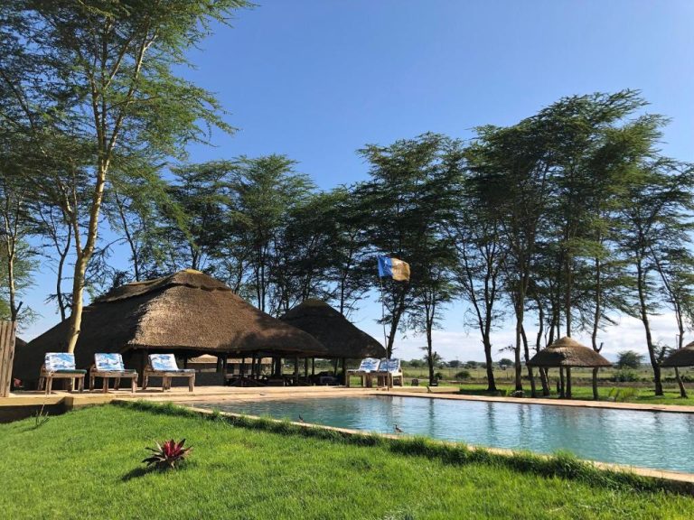Africa Safari Lake Manyara1