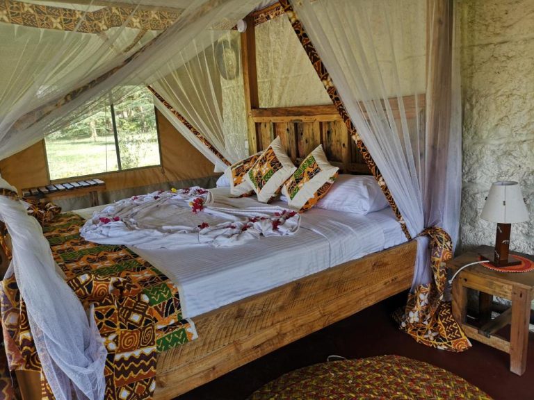Africa Safari Lake Manyara2