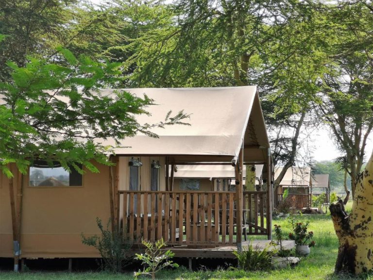 Africa Safari Lake Manyara5