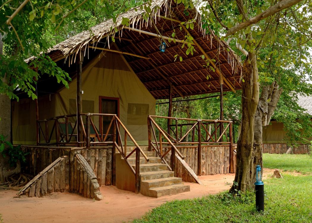 Africa Safari Selous Safari Lodge5