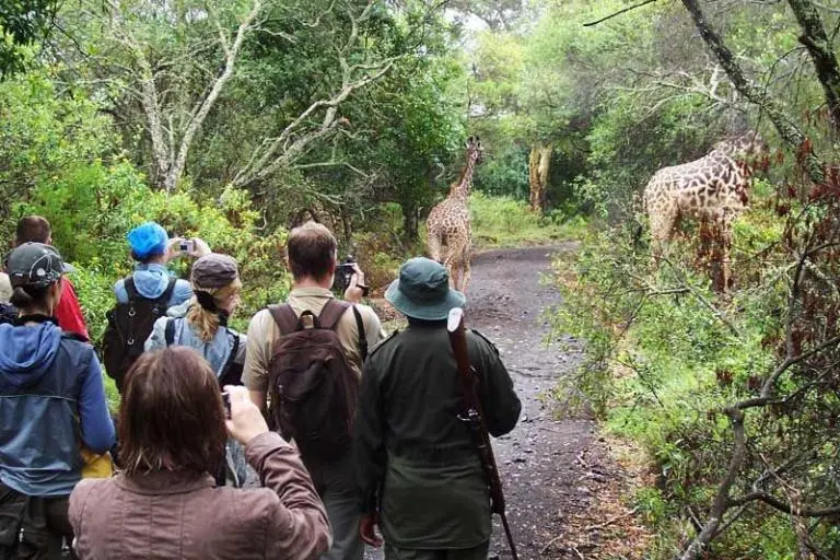 Safari a pie en el Parque Nacional de Arusha