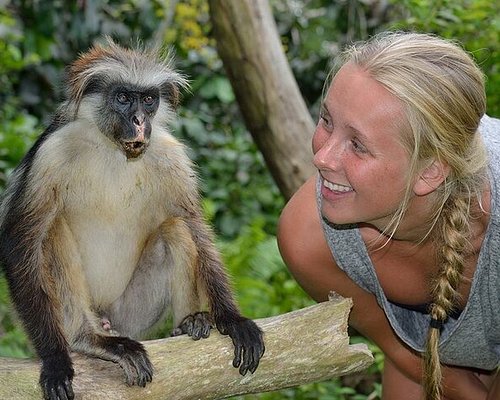Bagamoyo Historical Town wildlife