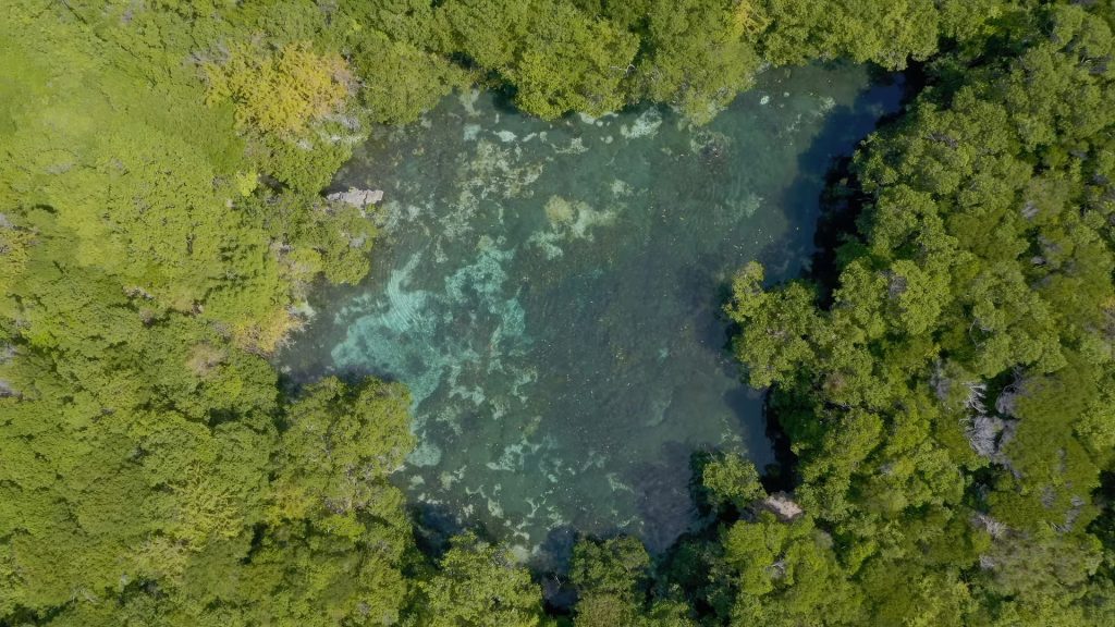 Blue Lagoon Mafia Island Tour