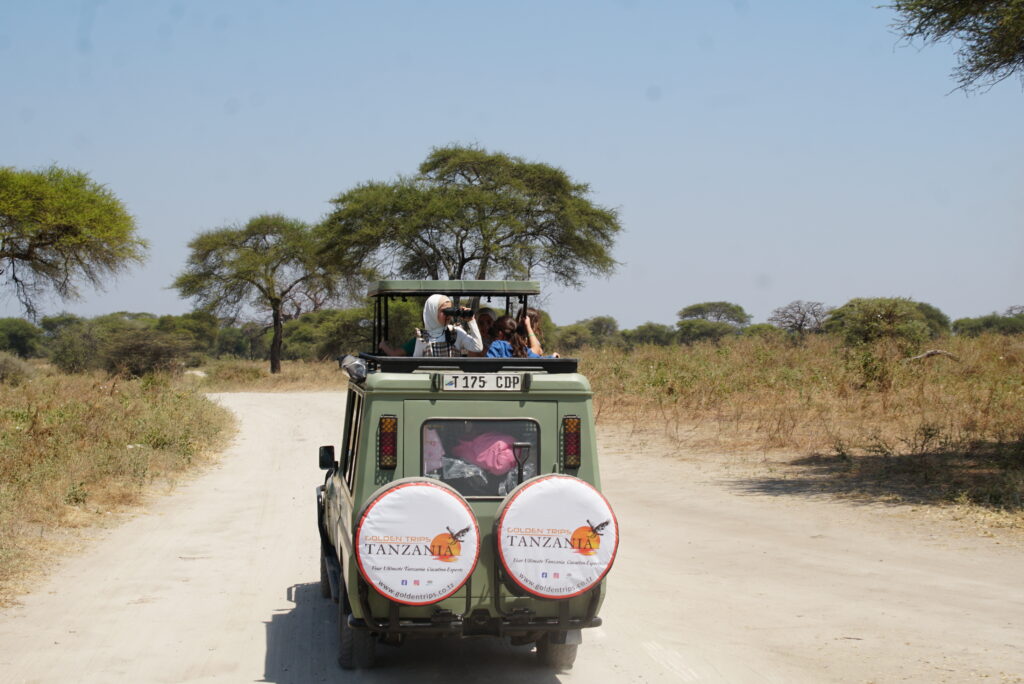 Golden Trips safari company