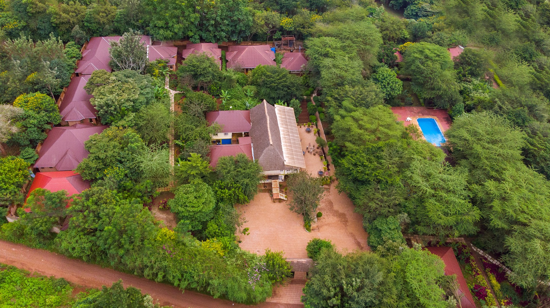 Eileen’s Trees Inn