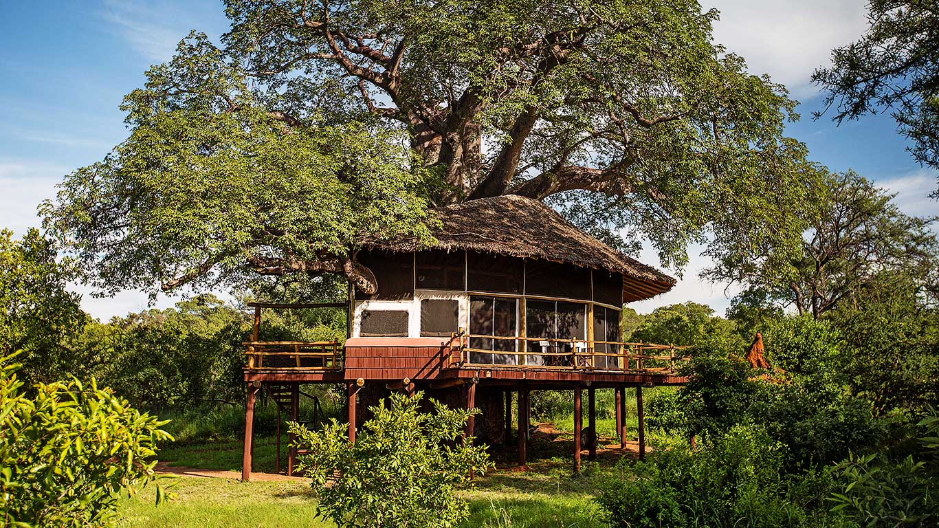 Elewana Tarangire Treetops |