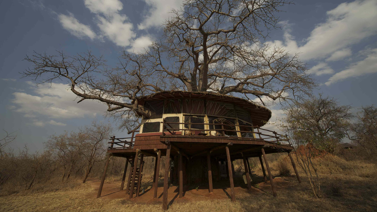 Elewana Tarangire Treetops |