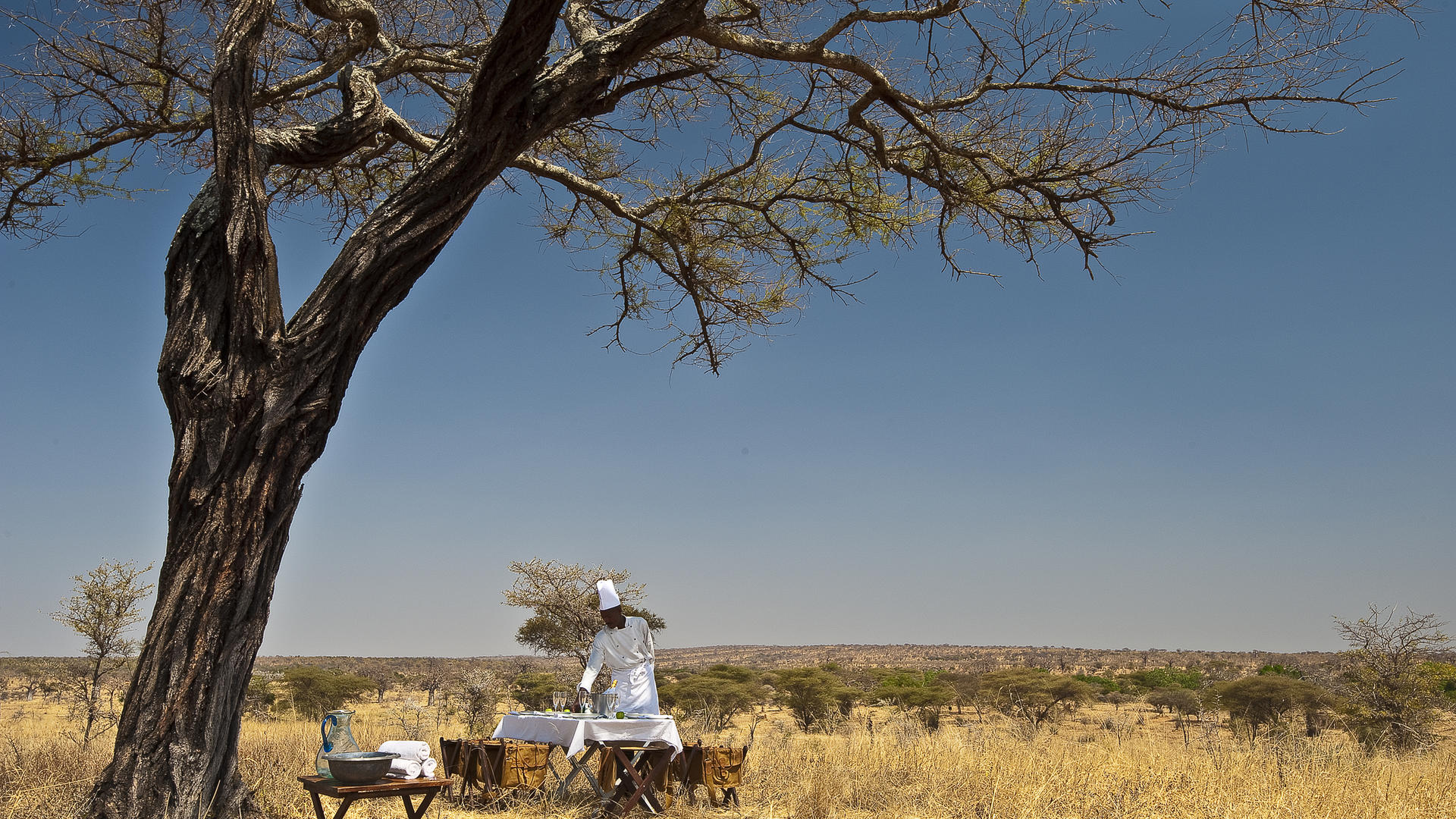 Elewana Tarangire Treetops |