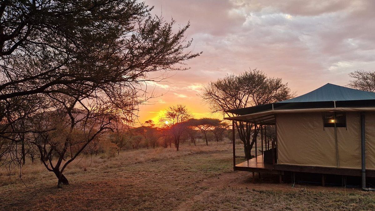 Embalakai Serengeti Camp1