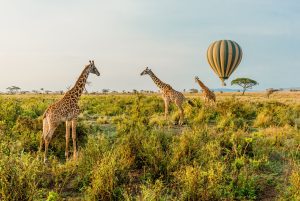 Hot air balloon flight in Tarangire