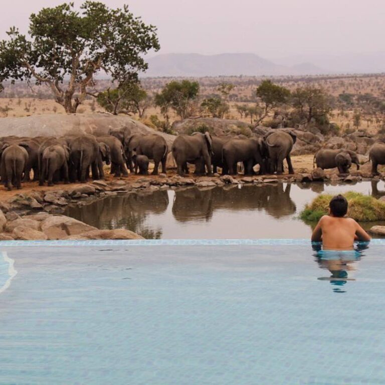 Four Seasons Safari Lodge4