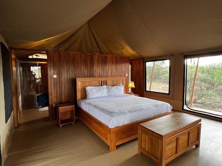 Into Wild Africa Tented Camp