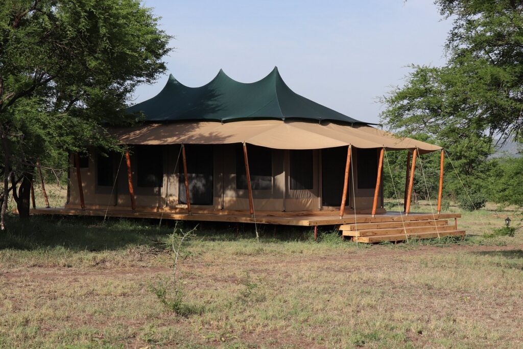 Into Wild Africa Tented Camp