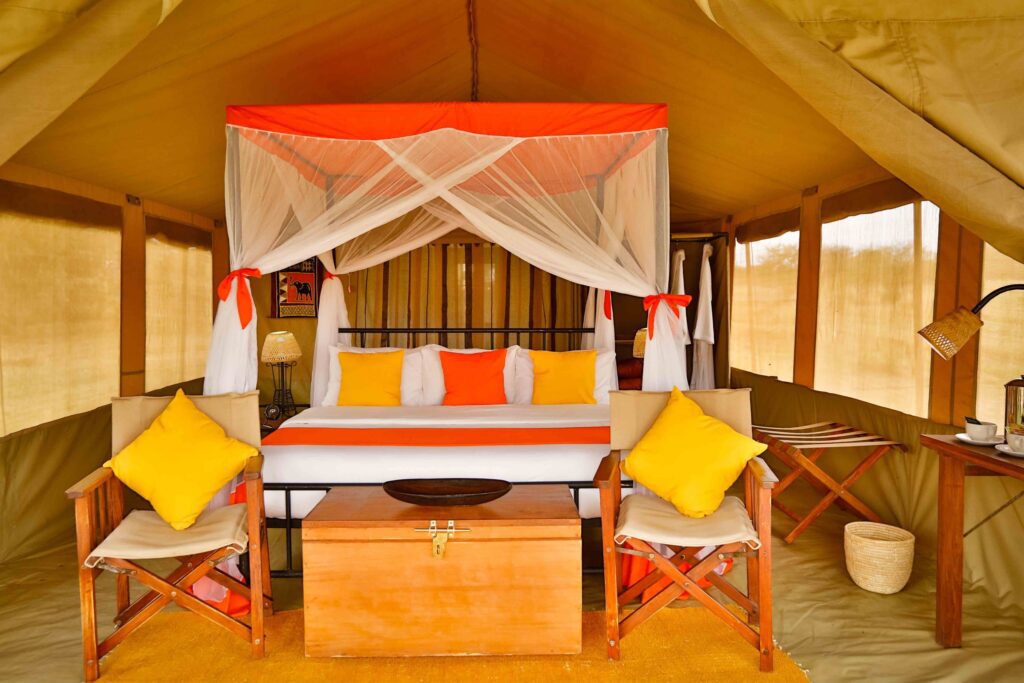 Kenzan Migration Camp