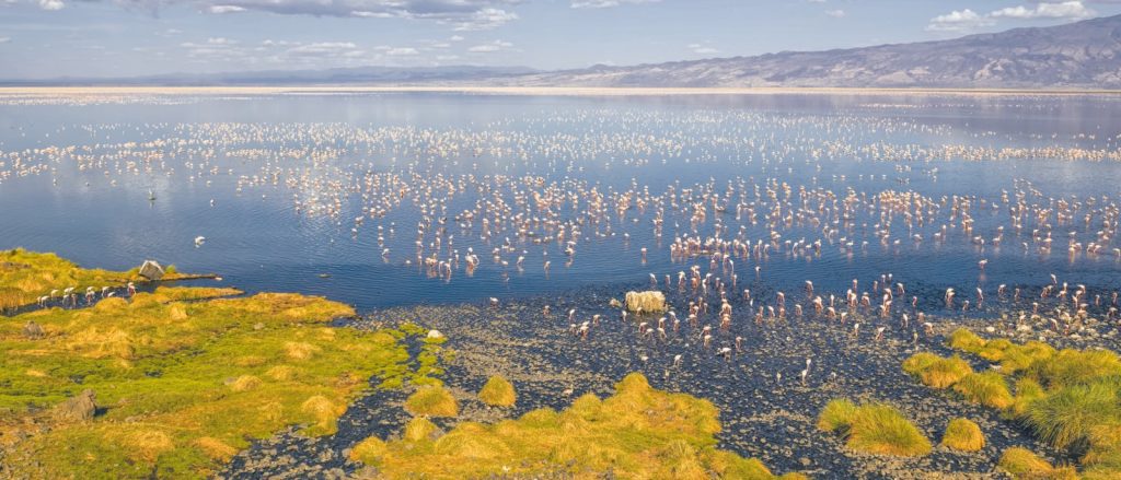 6-Day Safari to Lake Natron Serengeti Ngorongoro tour