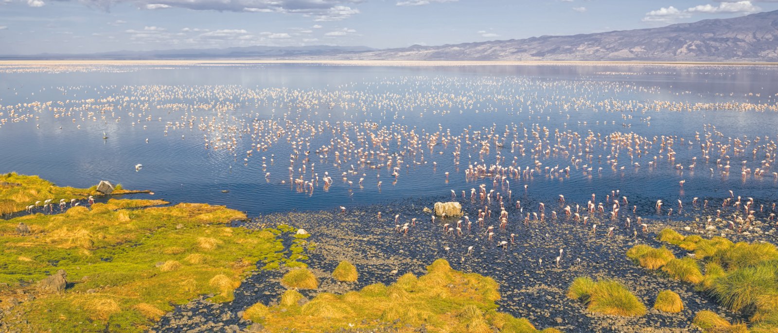 6-Day Northern Tanzania tour – Mountains, Craters & Wildlife