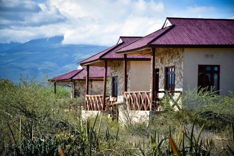 Lake Eyasi Safari Lodge4