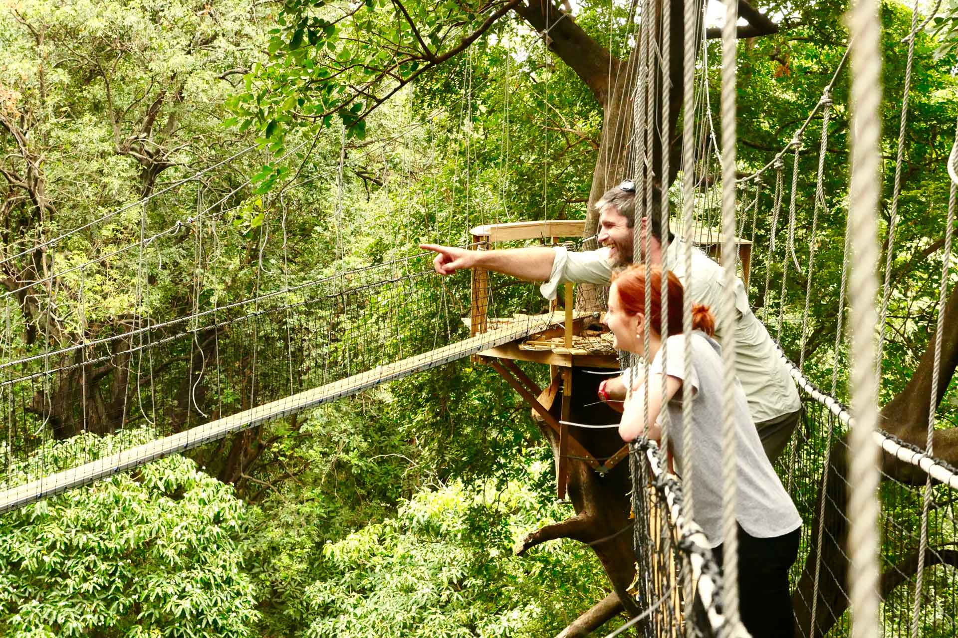 Lake-Manyara-Treetop-Walkwy