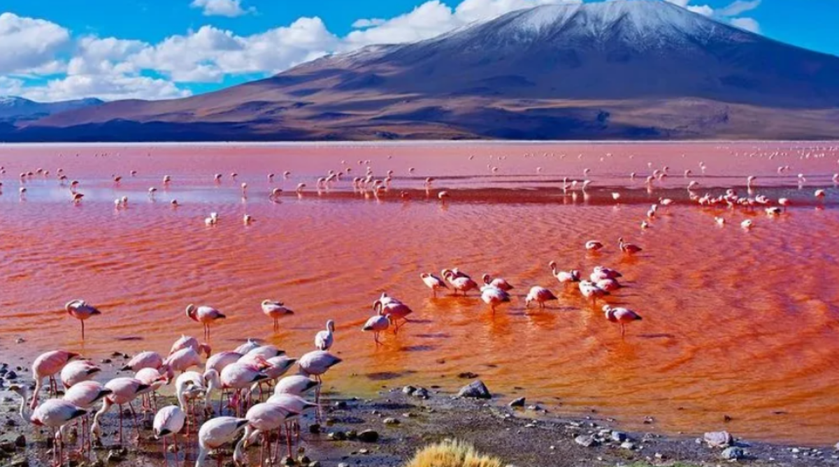 Lake-Natron-Tanzania