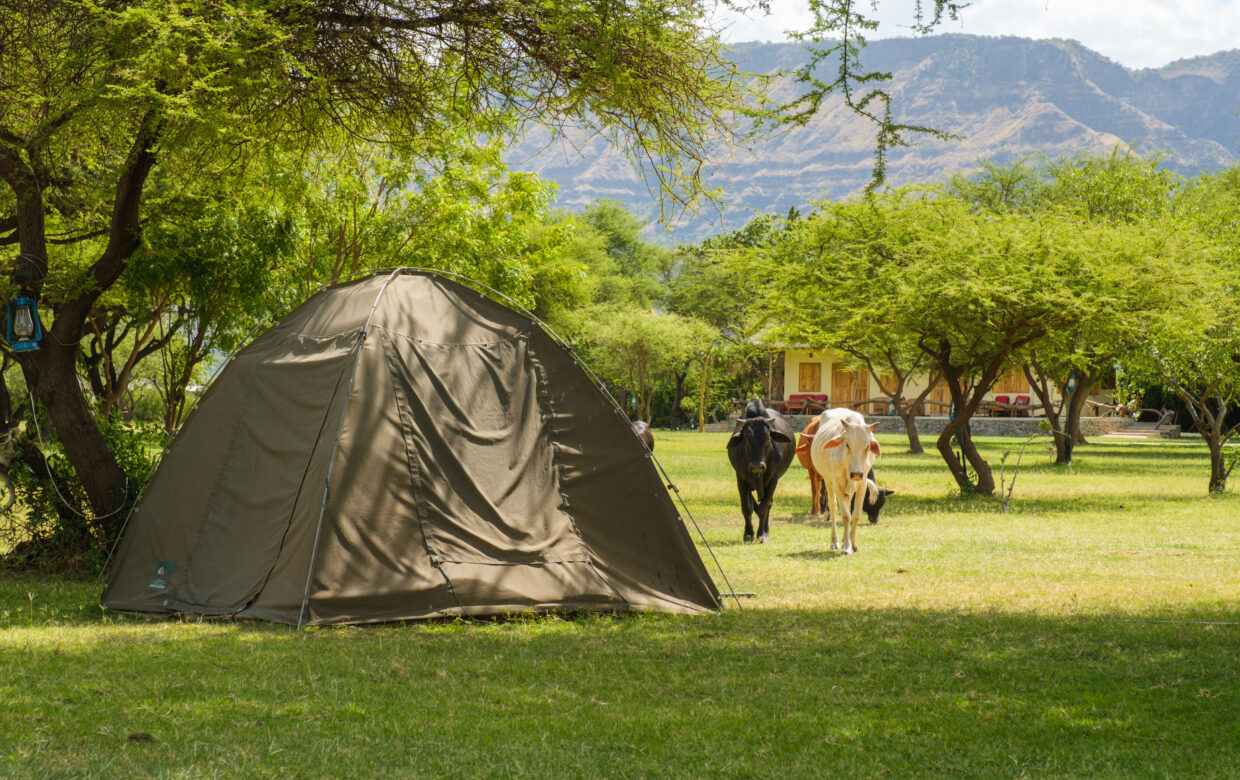 Maasai Giraffe Eco Lodge3