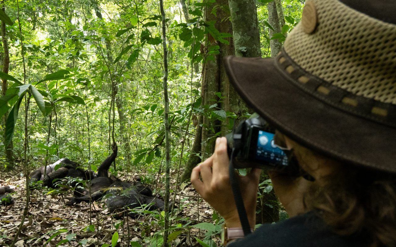 Mahale Mountains National Park_Tour