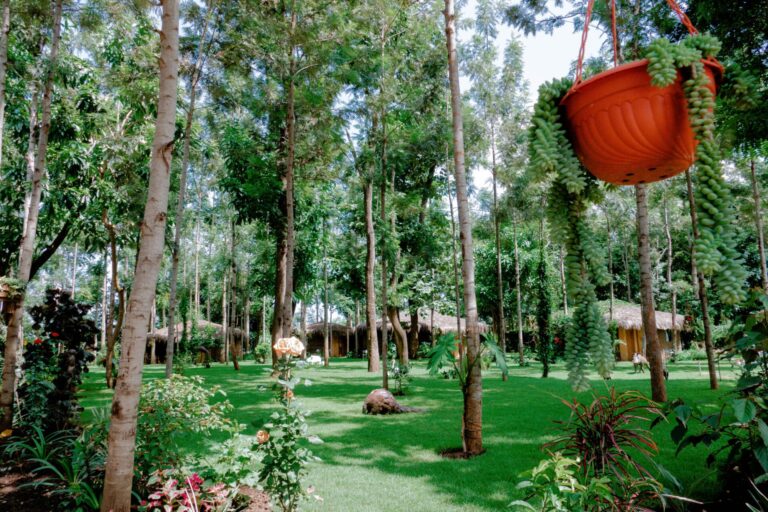 Mtoni River Lodge5