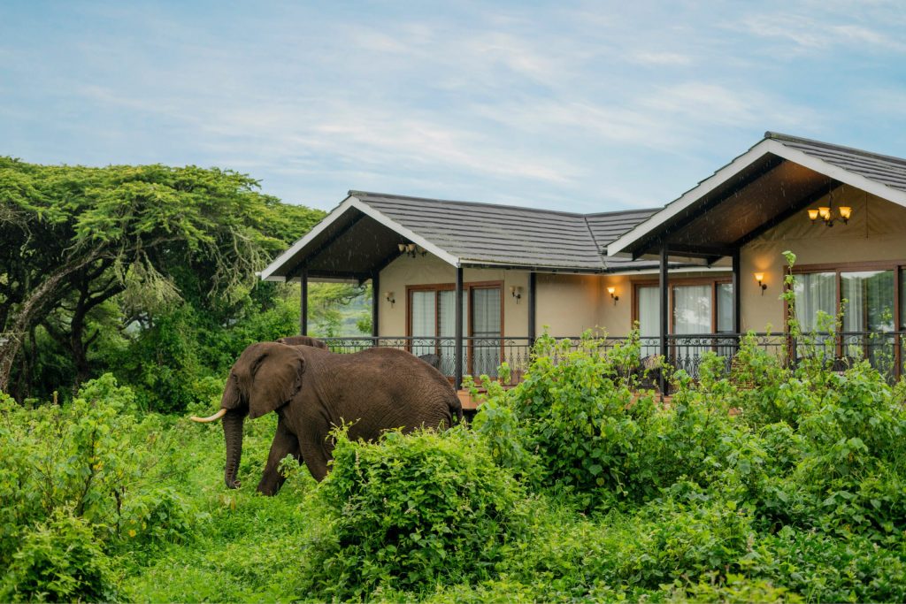 Ngorongoro Lion’s Paw Lodge