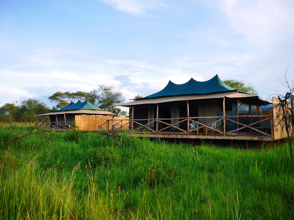 Nyota Luxury Camp Serengeti