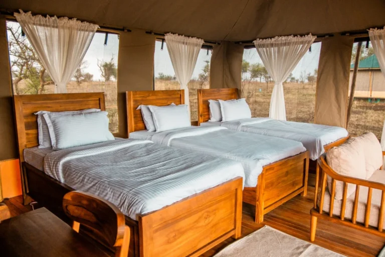 Pori Pori Tented Camp