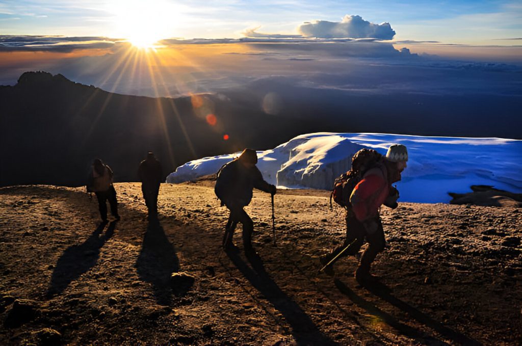 9-Day Northern Circuit Kilimanjaro Climbing