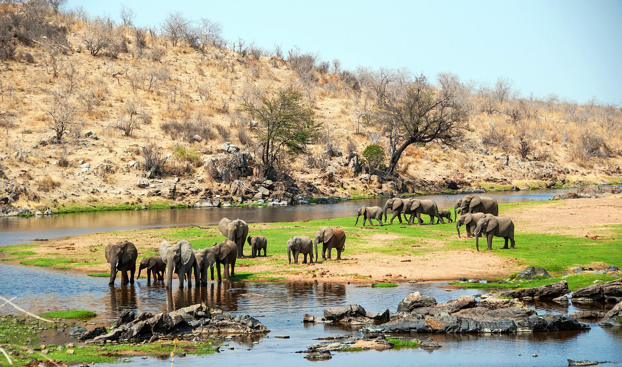 Ruaha National Park_River