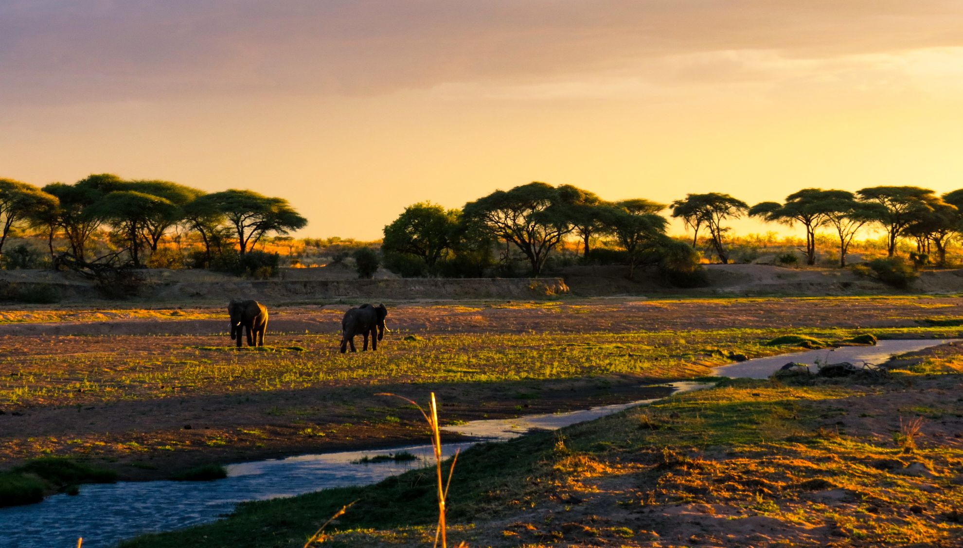 Ruaha National Park_Sunset