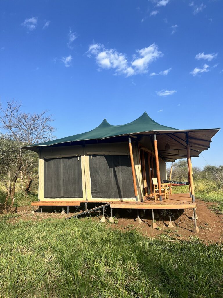 Safari Haven Migration Camp5Y