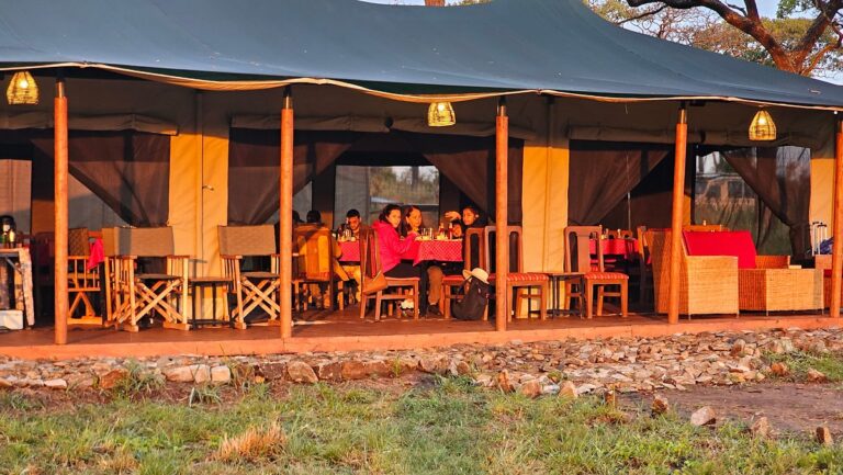 Safari Haven Serengeti Camp2
