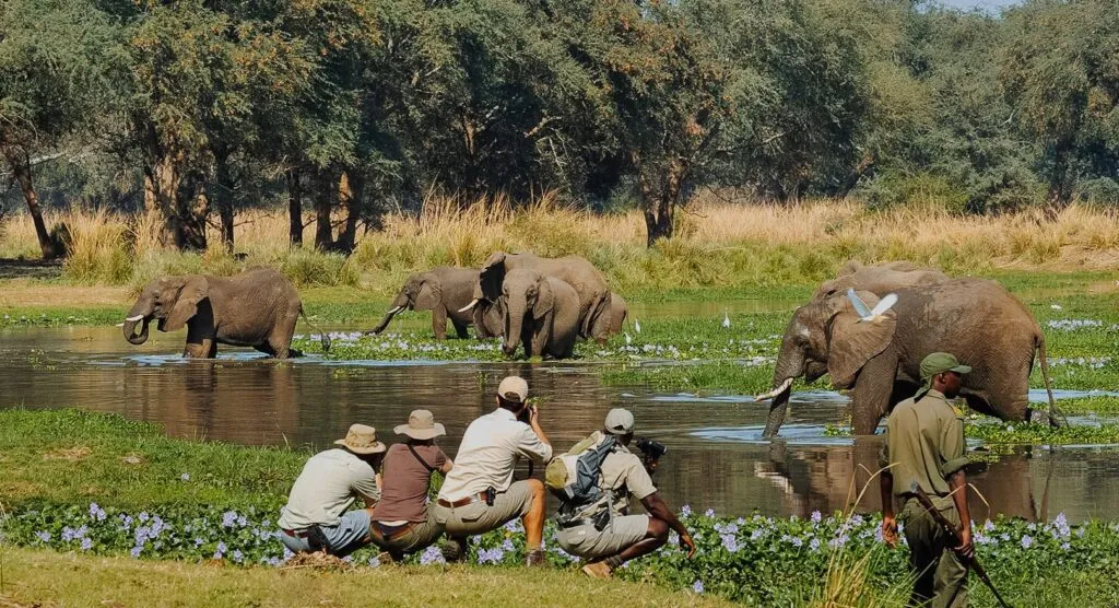 5-Day Tanzania Safari Adventure Tour