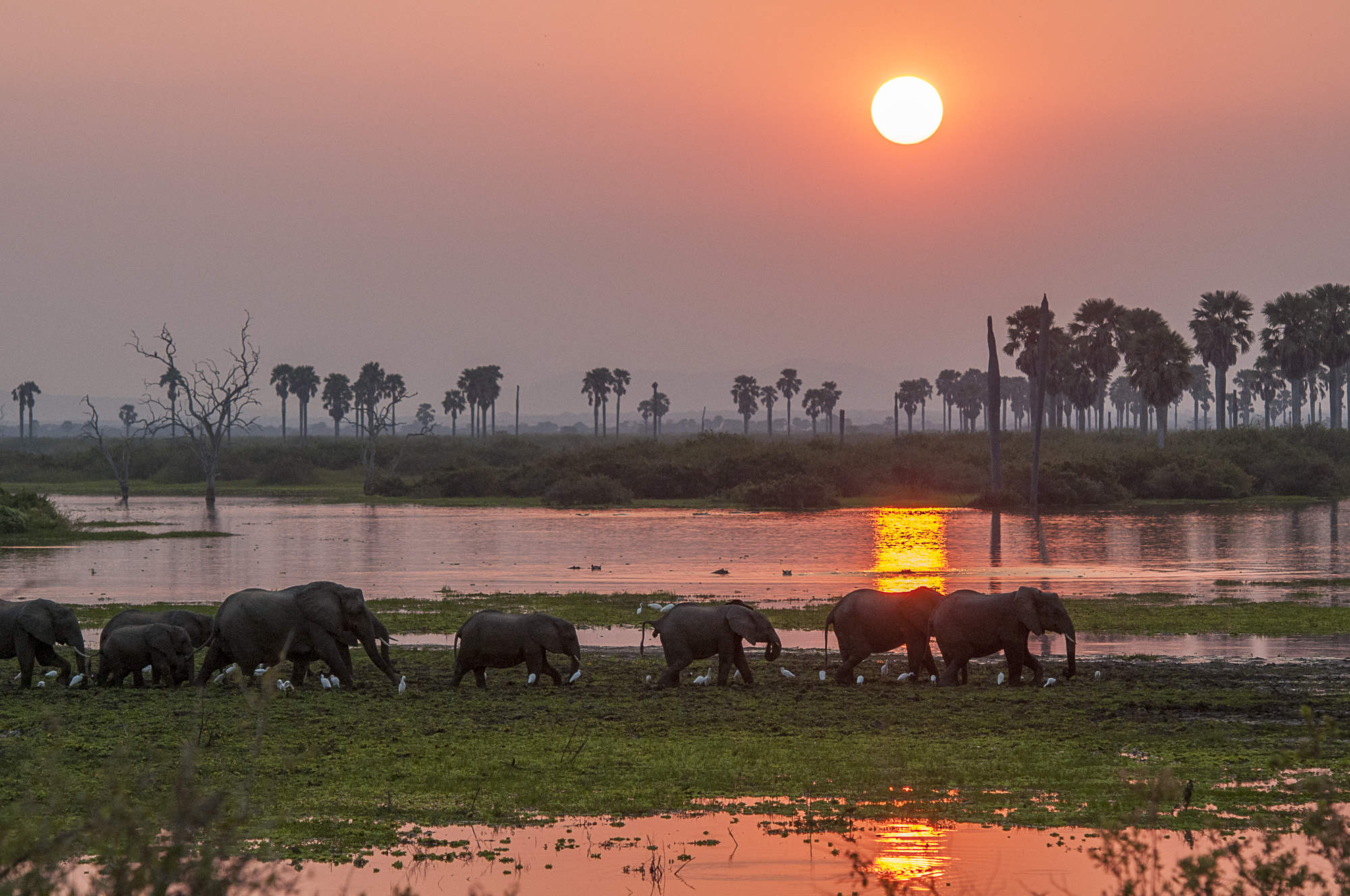 Selous-Nyerere-National-Park