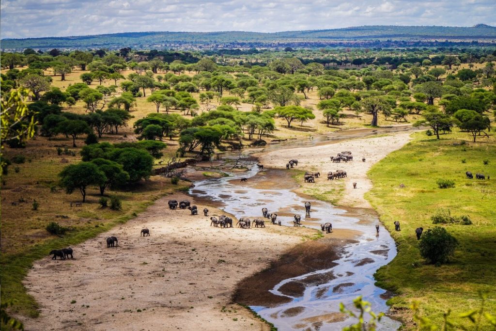 Tarangire view point