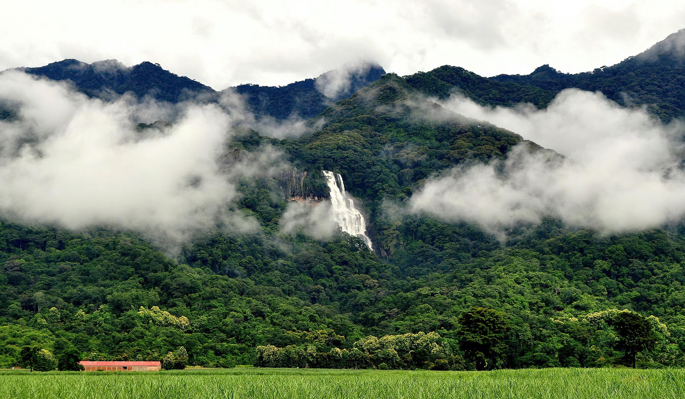 Udzungwa_National_Park_Sanje_Waterfalls_21