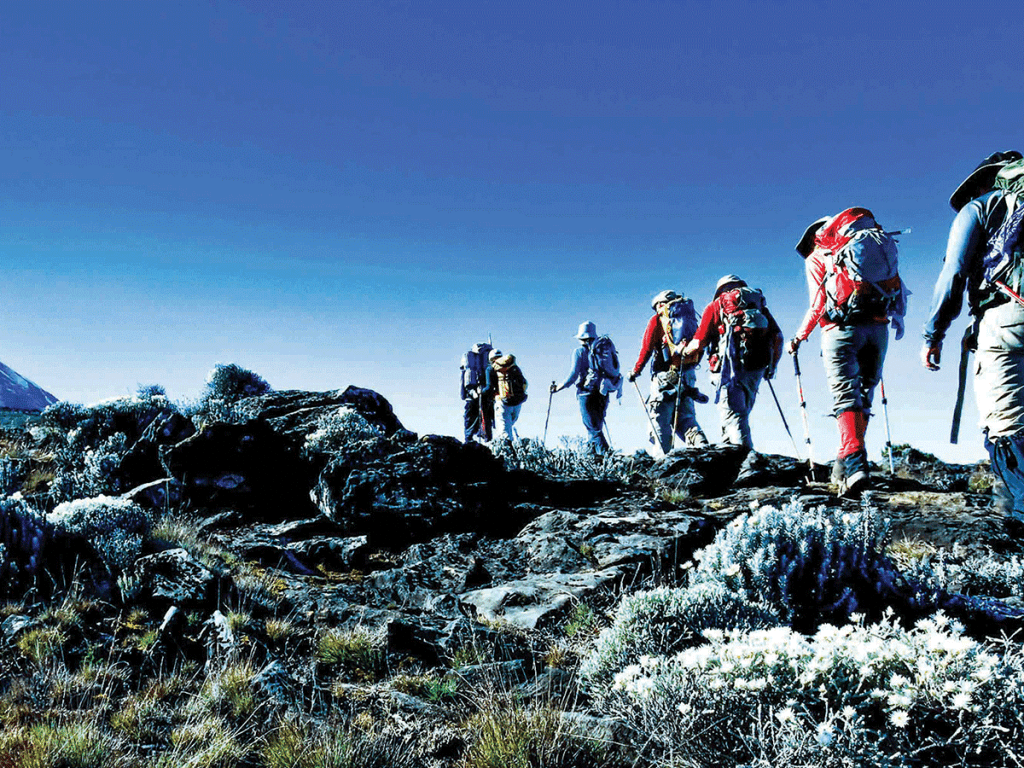 9-Day Kilimanjaro Climb via Umbwe Route