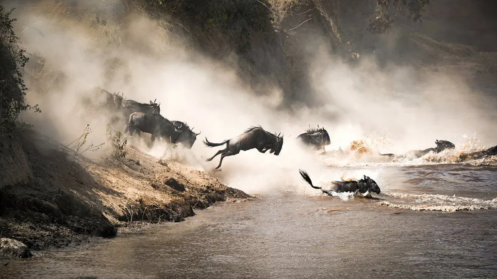 6-Day Serengeti Fly-In Safari: Envi Sisini & Lemala Kuria Hills
