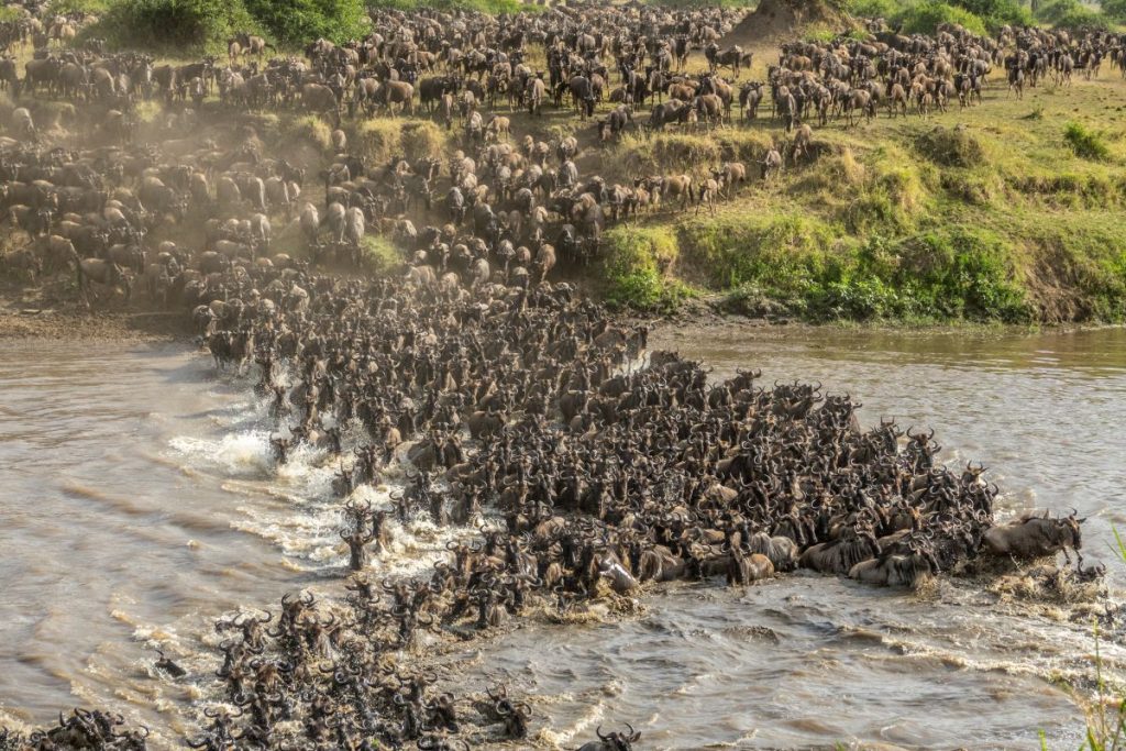 When_To_See_Wildebeest_Migration_Western_Serengeti&Grumeti_River_Crossings
