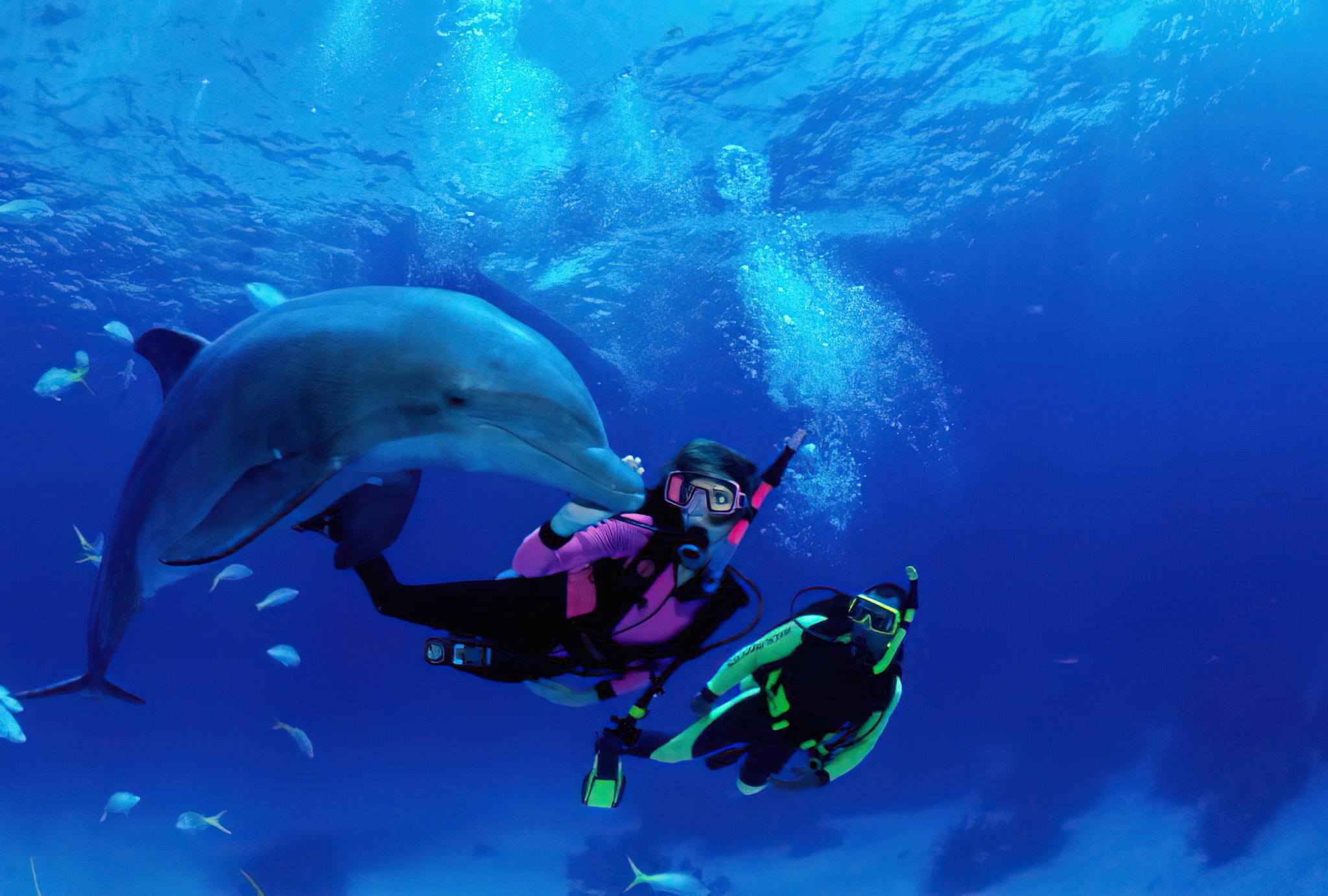 Zanzibar_Bottle_Nose_Dolphins_02