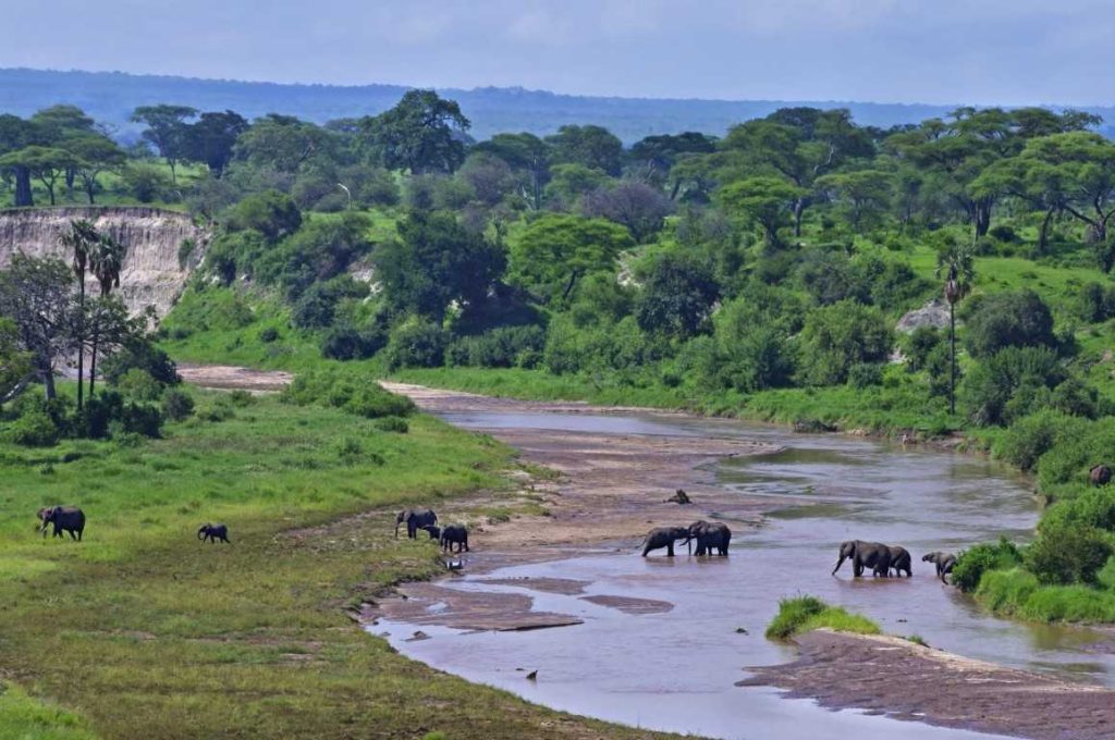 Tarangire view point center