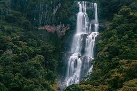 Udzungwa Mountains National Park