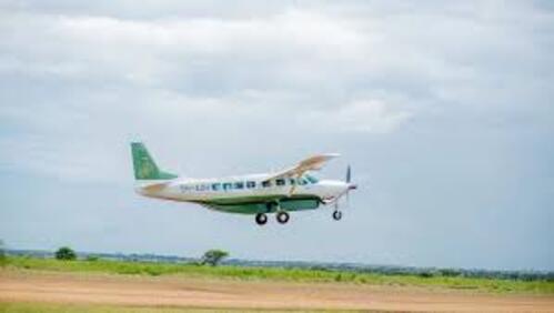 2-Day Fly-In Safari from Zanzibar Tarangire Lake Manyara