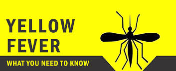 Yellow fever requirements