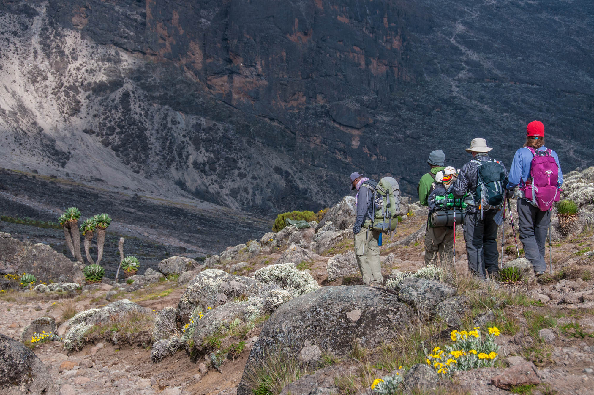 kilimanjaro descending
